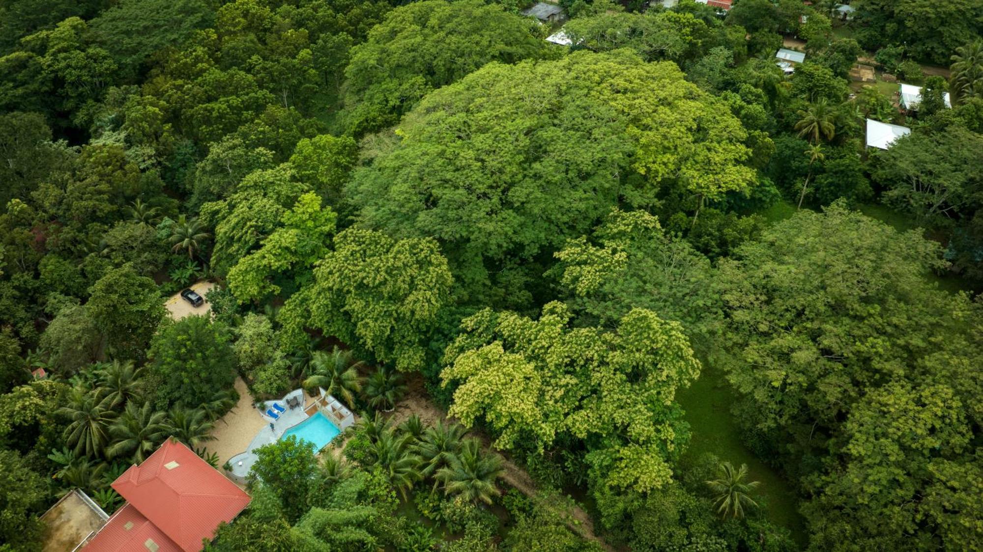 Villa Massis Luxury Villas San Ignacio Luaran gambar